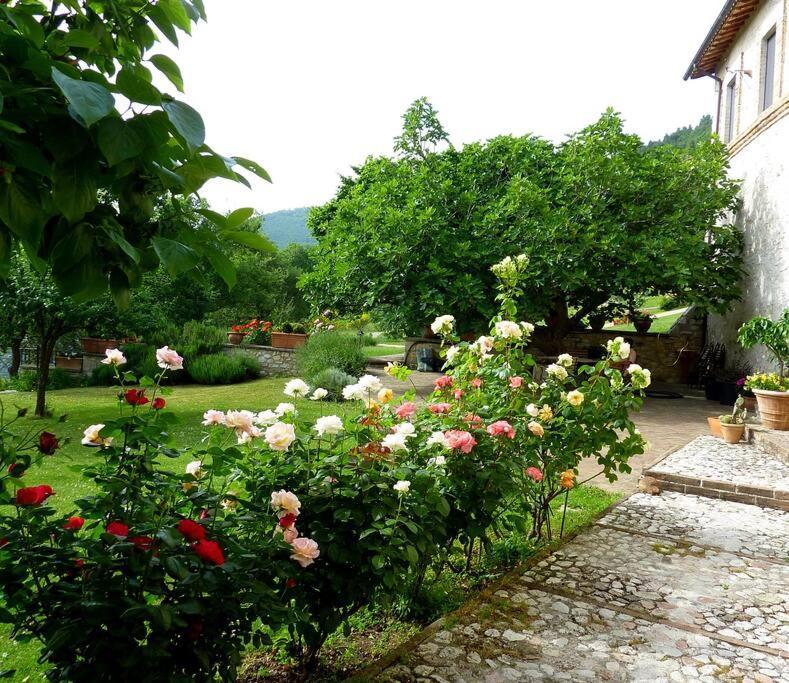 All Stone Horse Stable Converted To Elegant Apartment - Baltimora スポレート エクステリア 写真